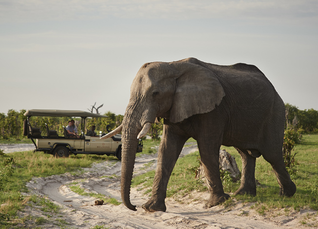 belmond-safaris